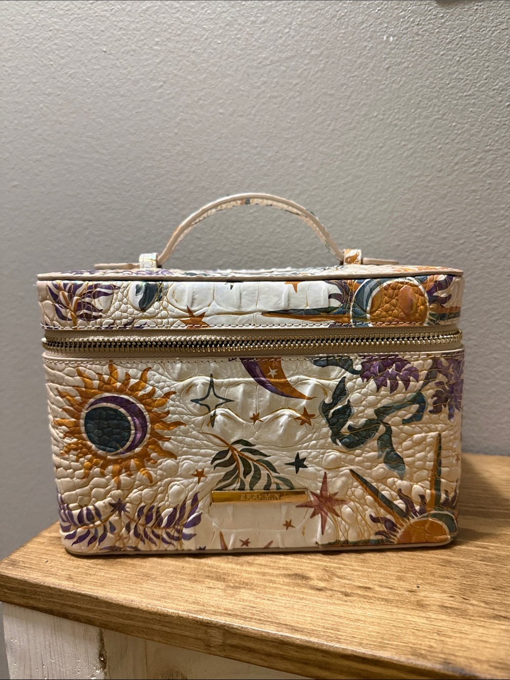 NWT Brahmin Vitality MELBOURNE CHARMAINE Train Case
